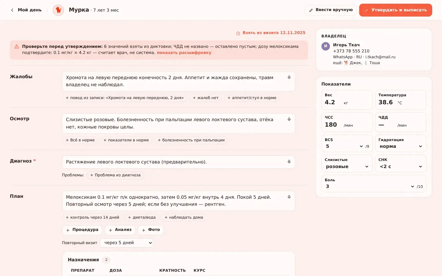The consultation screen: the draft after dictation